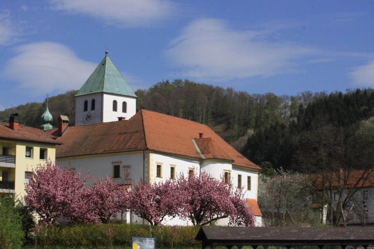Hotel Na Kopitarjevi Laško Exterior foto