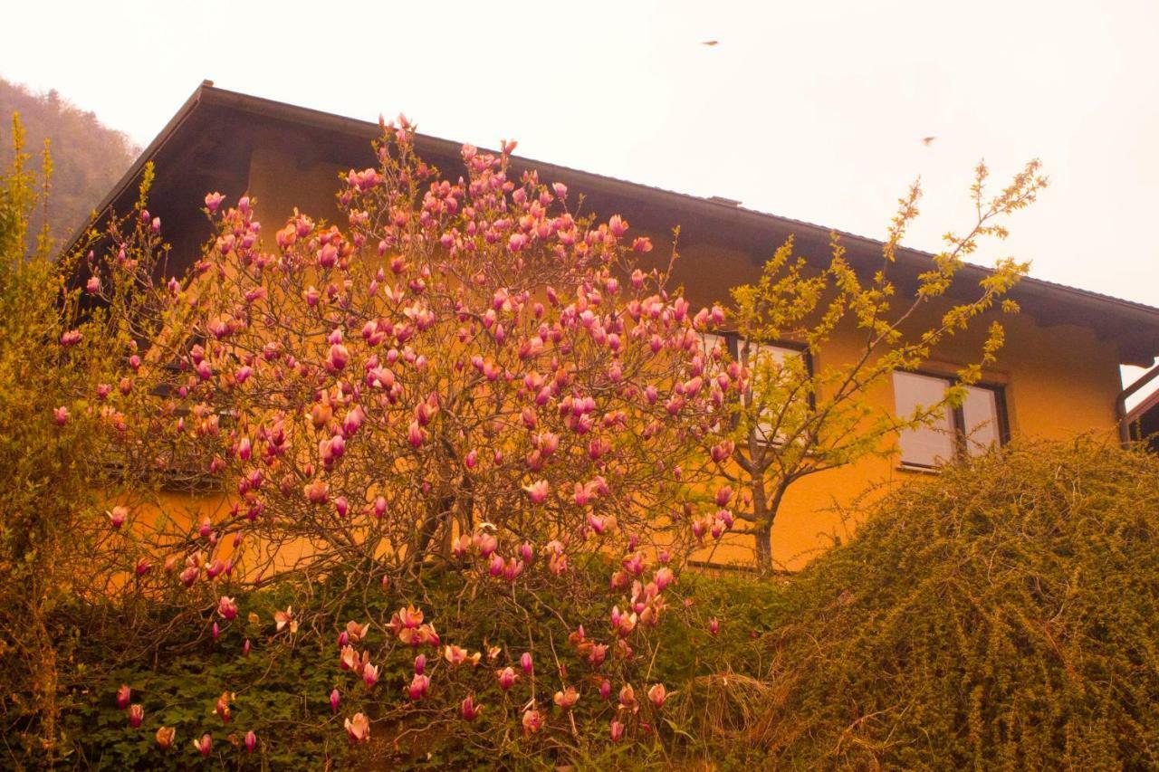 Hotel Na Kopitarjevi Laško Exterior foto