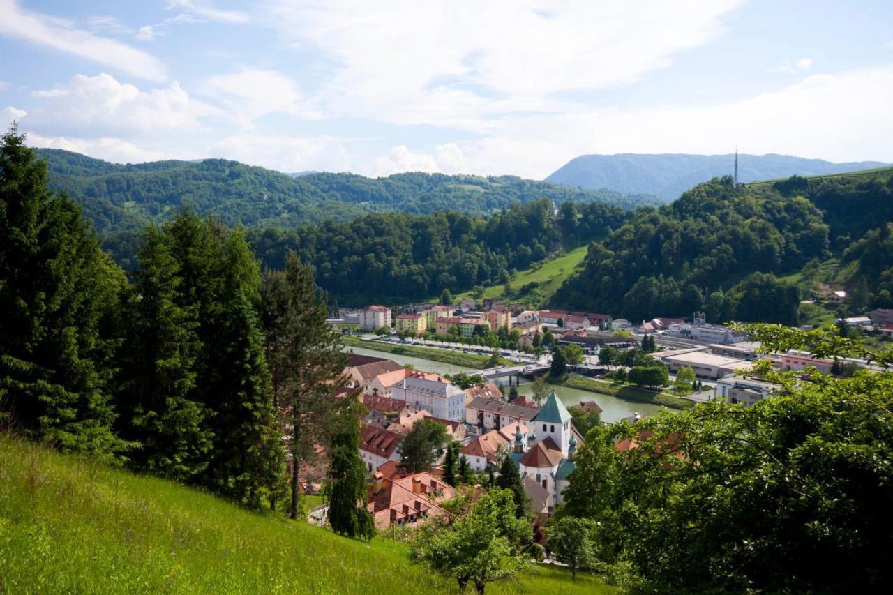 Hotel Na Kopitarjevi Laško Exterior foto