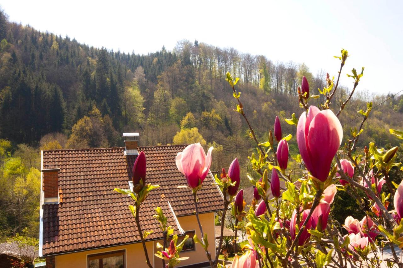 Hotel Na Kopitarjevi Laško Exterior foto