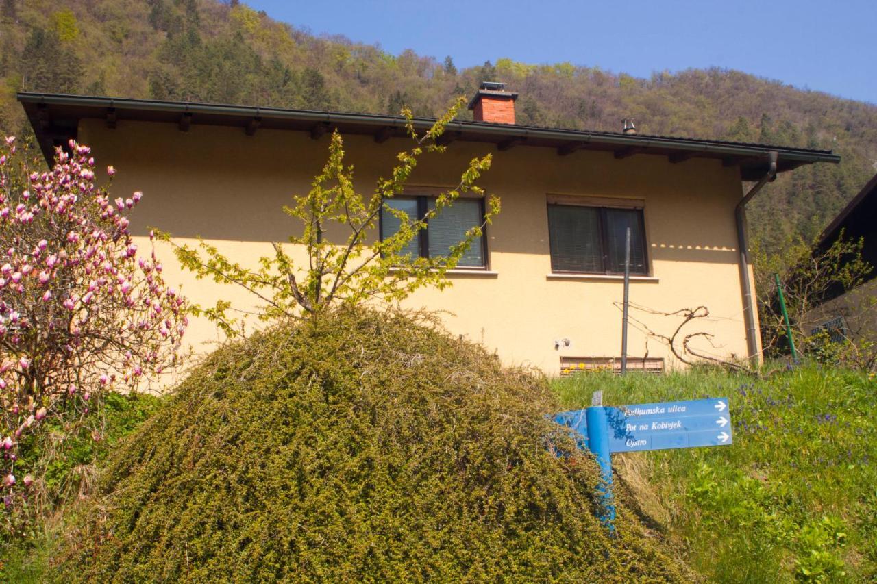 Hotel Na Kopitarjevi Laško Exterior foto